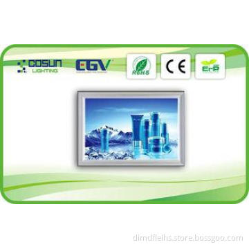 24V Customized Decorative LED Illuminated Snap Frame Light